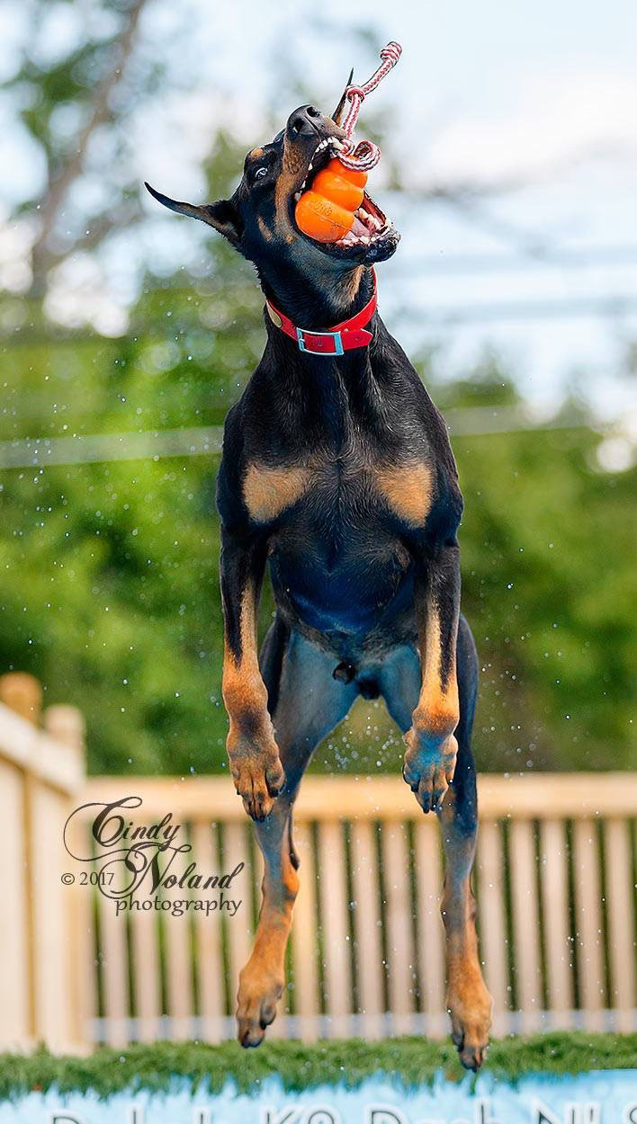 Rico