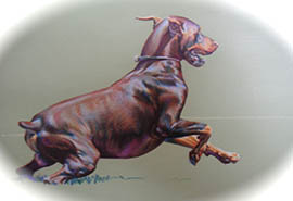 Linc